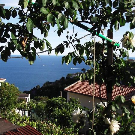 Le Mimose Villa Vietri Luaran gambar