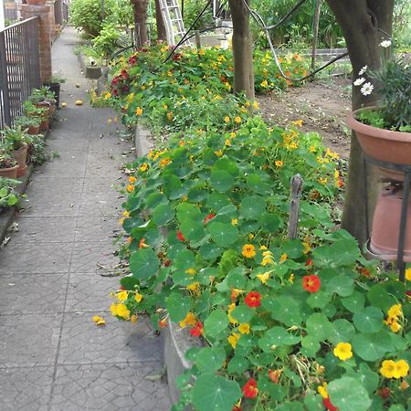 Le Mimose Villa Vietri Luaran gambar