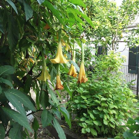 Le Mimose Villa Vietri Luaran gambar