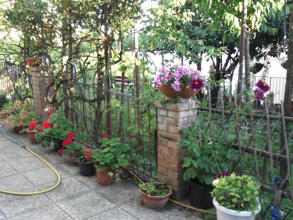 Le Mimose Villa Vietri Luaran gambar