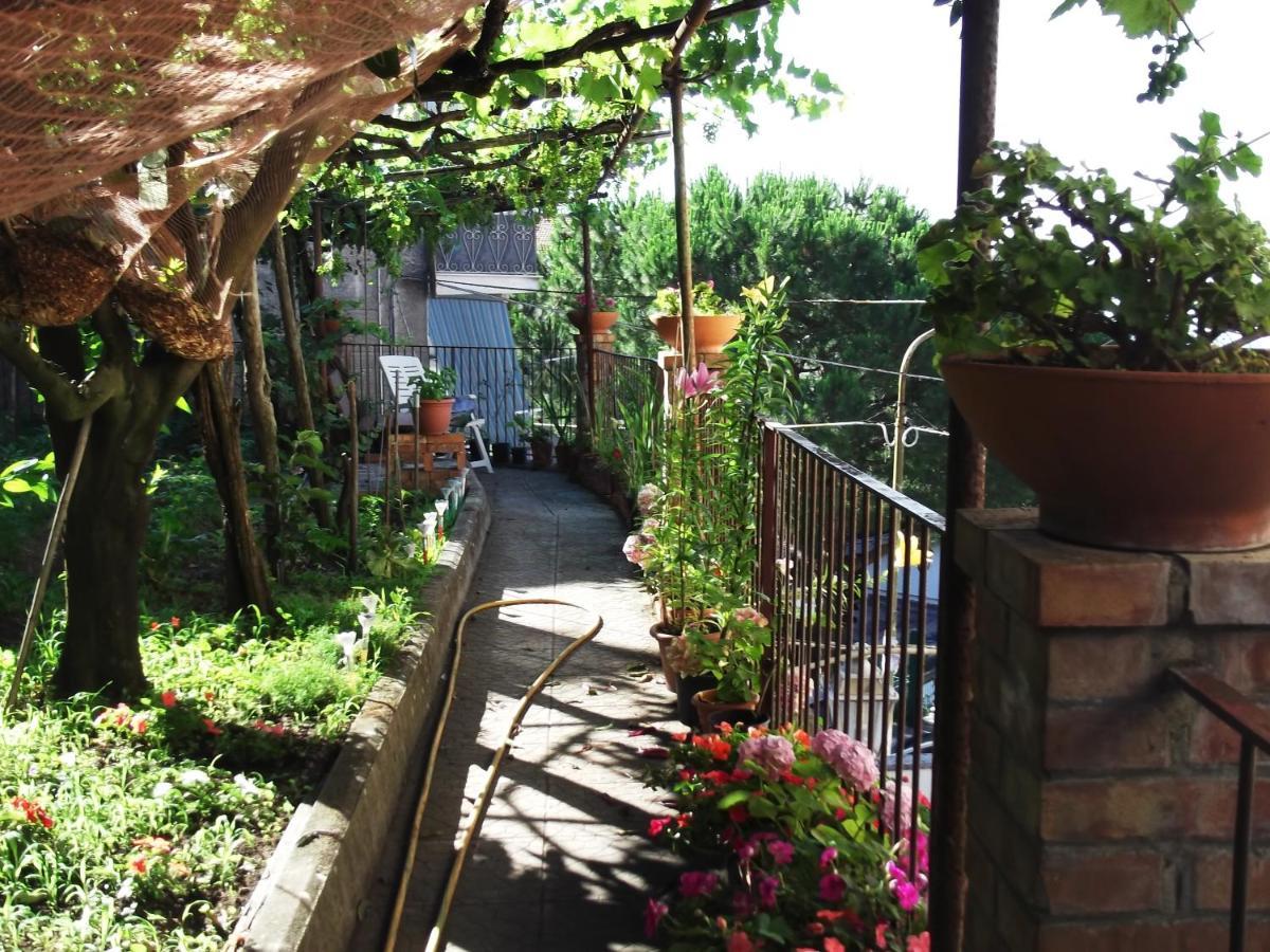 Le Mimose Villa Vietri Luaran gambar