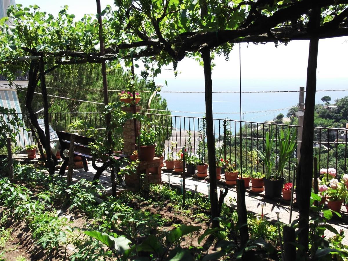 Le Mimose Villa Vietri Luaran gambar
