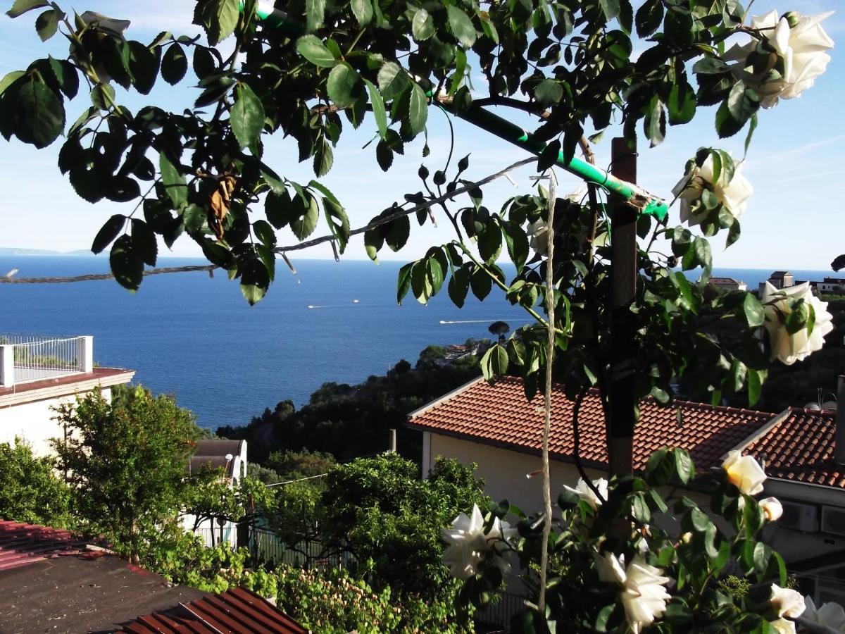 Le Mimose Villa Vietri Luaran gambar
