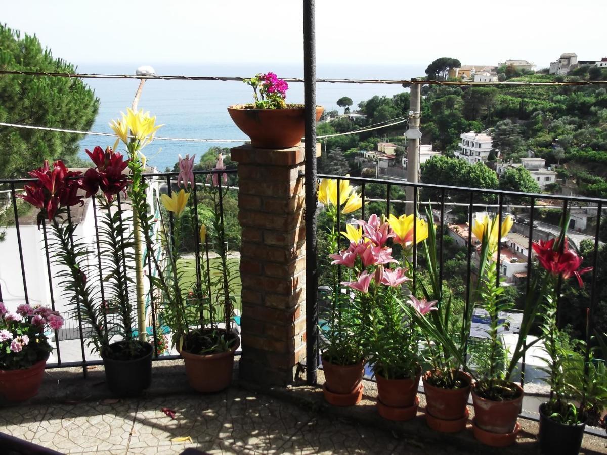 Le Mimose Villa Vietri Luaran gambar