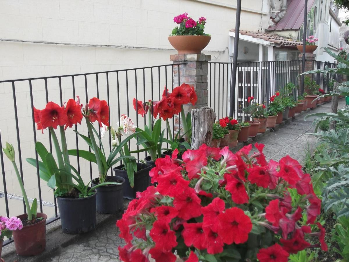 Le Mimose Villa Vietri Luaran gambar