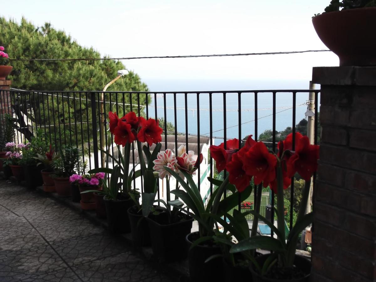 Le Mimose Villa Vietri Luaran gambar