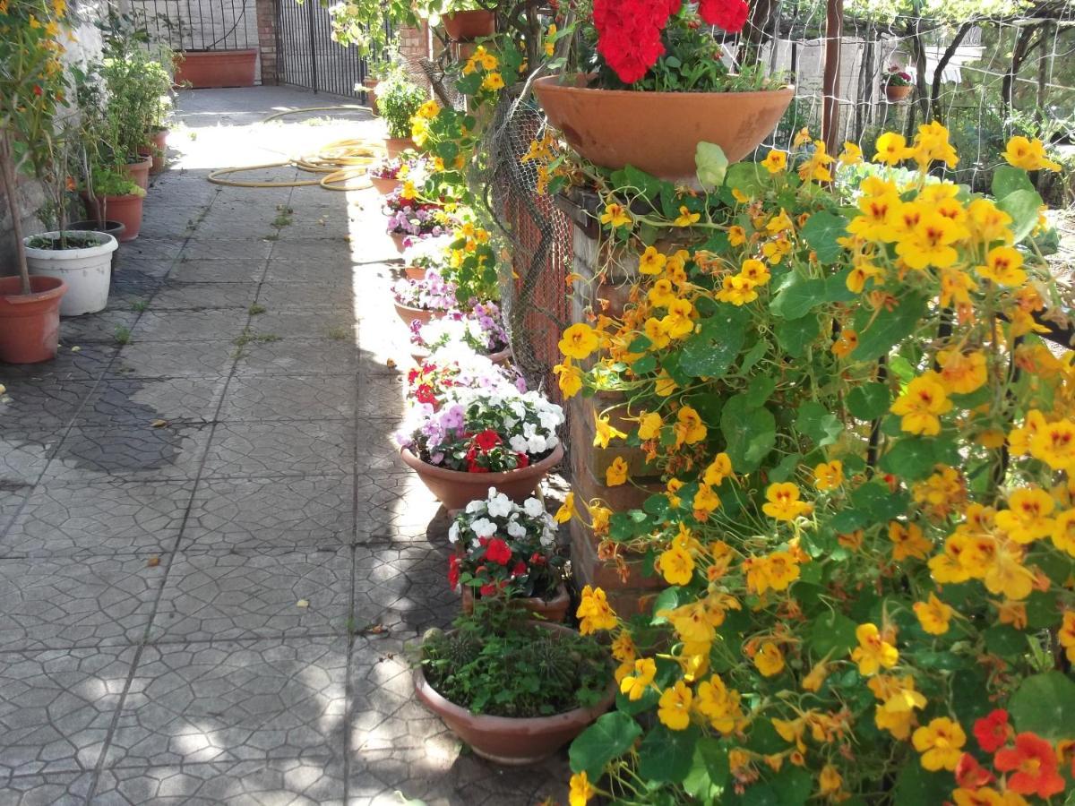 Le Mimose Villa Vietri Luaran gambar