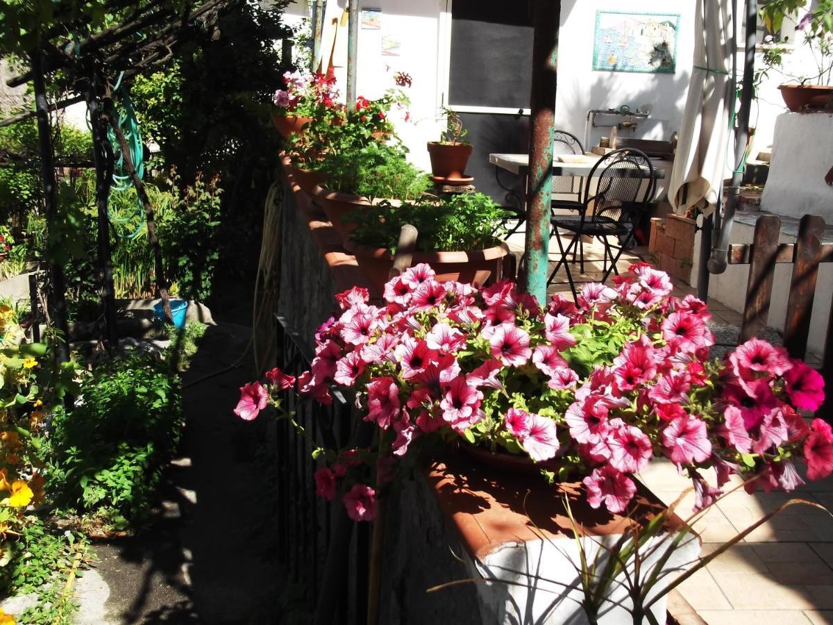 Le Mimose Villa Vietri Luaran gambar