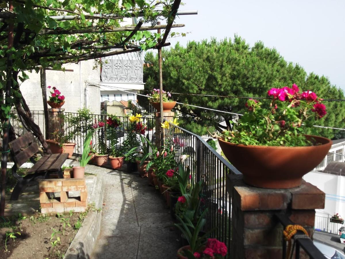 Le Mimose Villa Vietri Luaran gambar