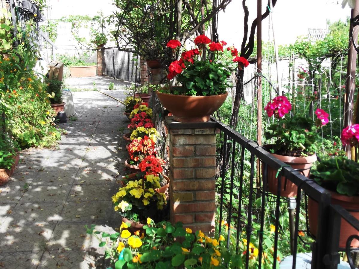Le Mimose Villa Vietri Luaran gambar