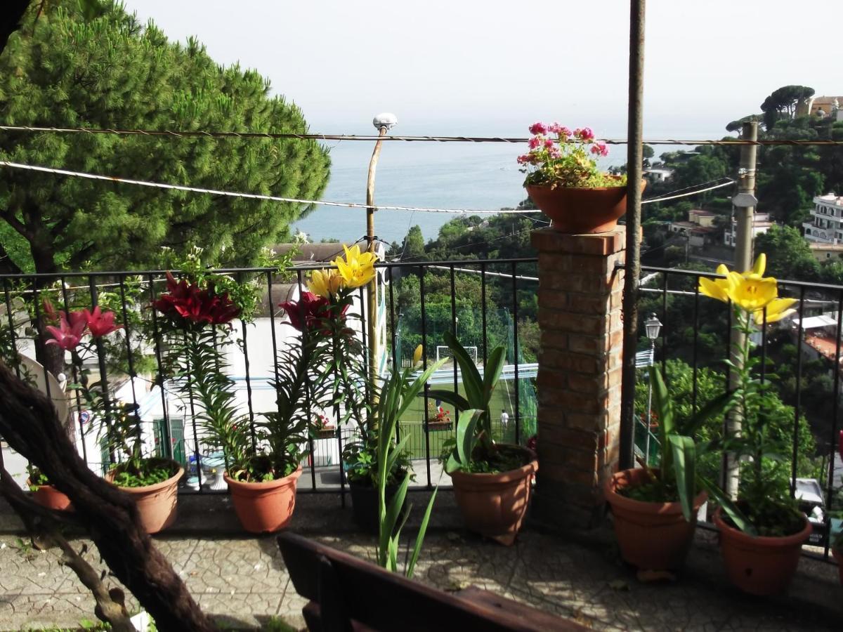 Le Mimose Villa Vietri Luaran gambar