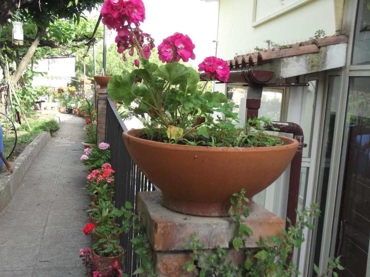 Le Mimose Villa Vietri Luaran gambar