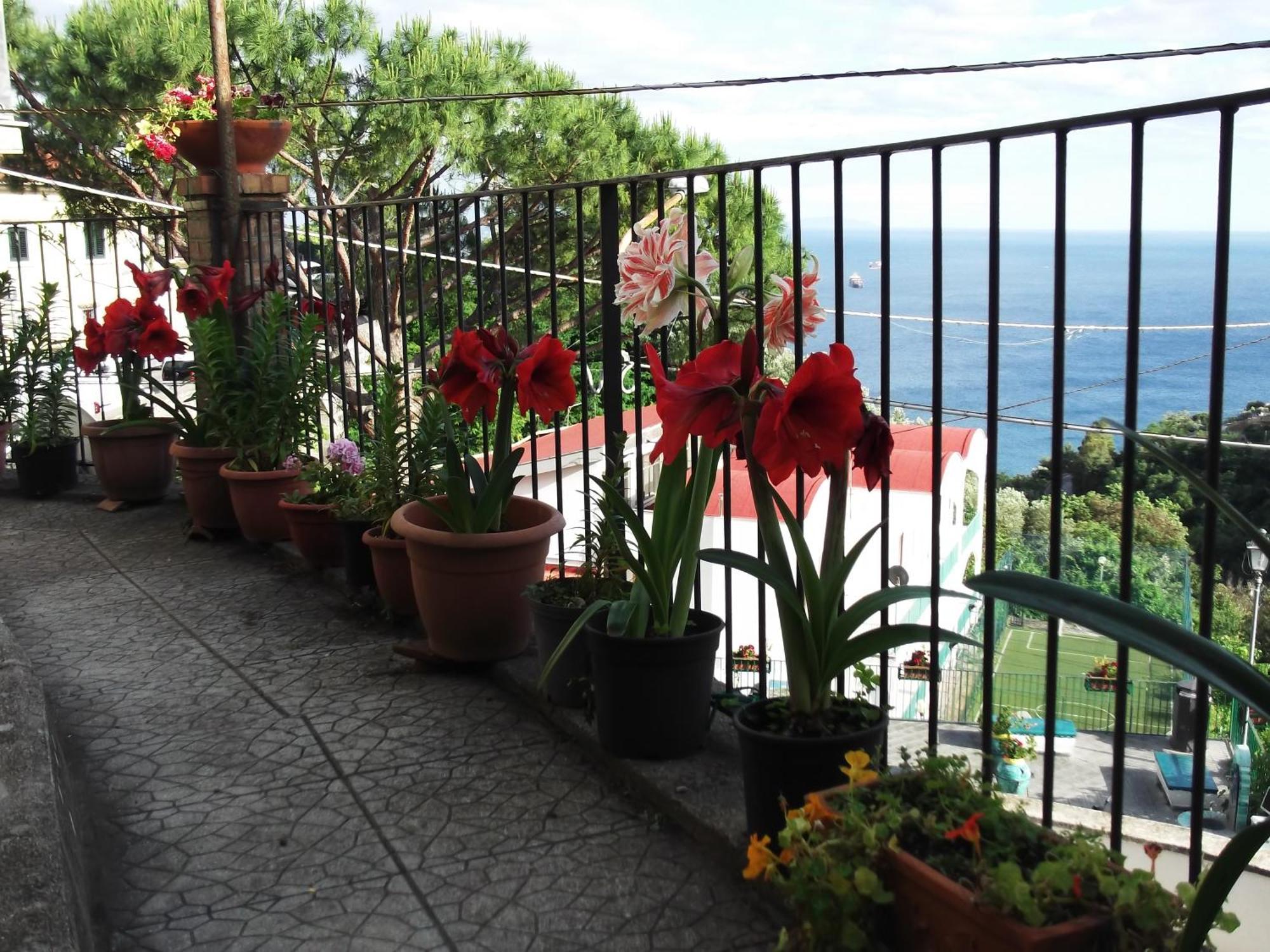 Le Mimose Villa Vietri Luaran gambar