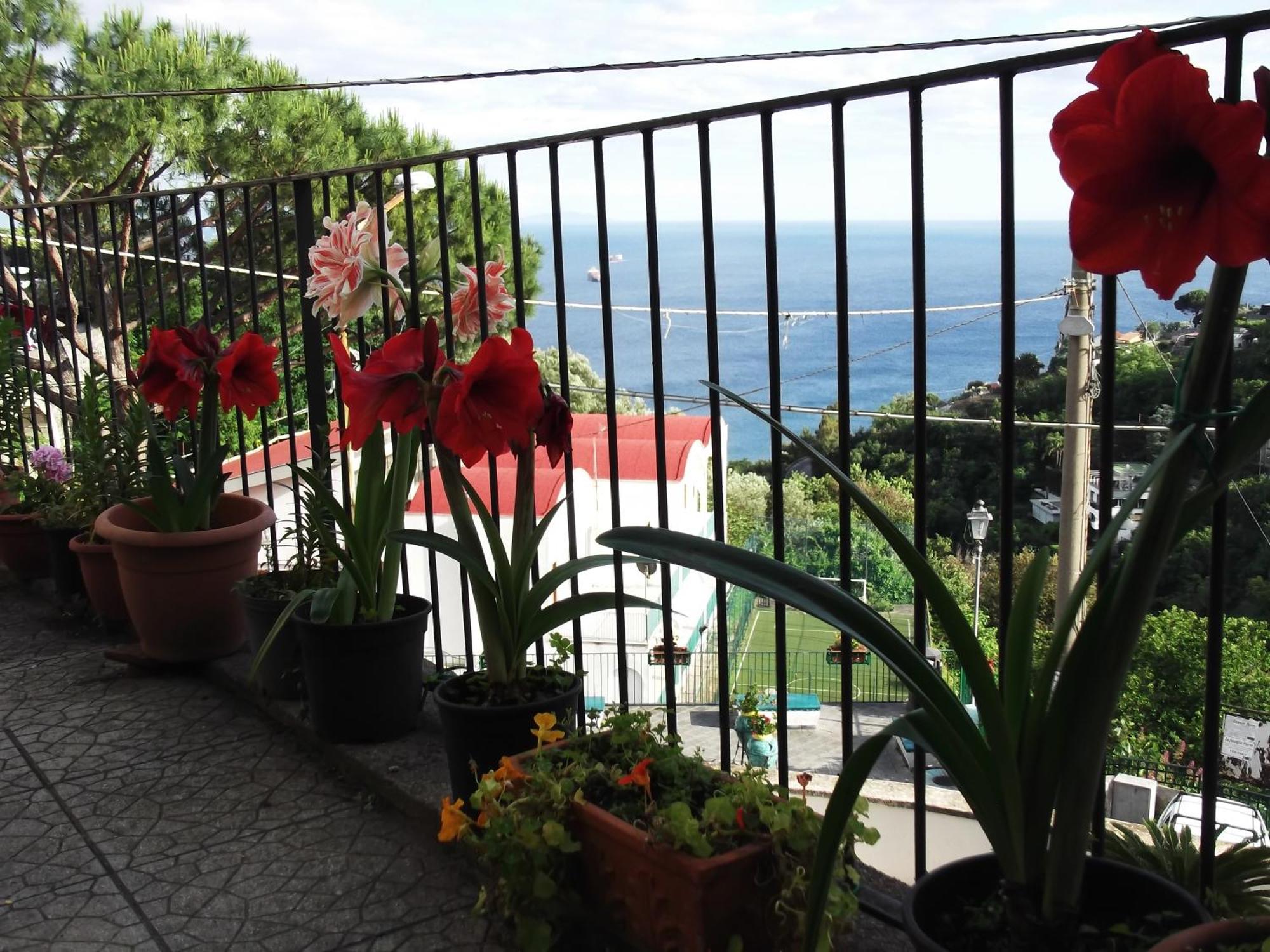 Le Mimose Villa Vietri Luaran gambar