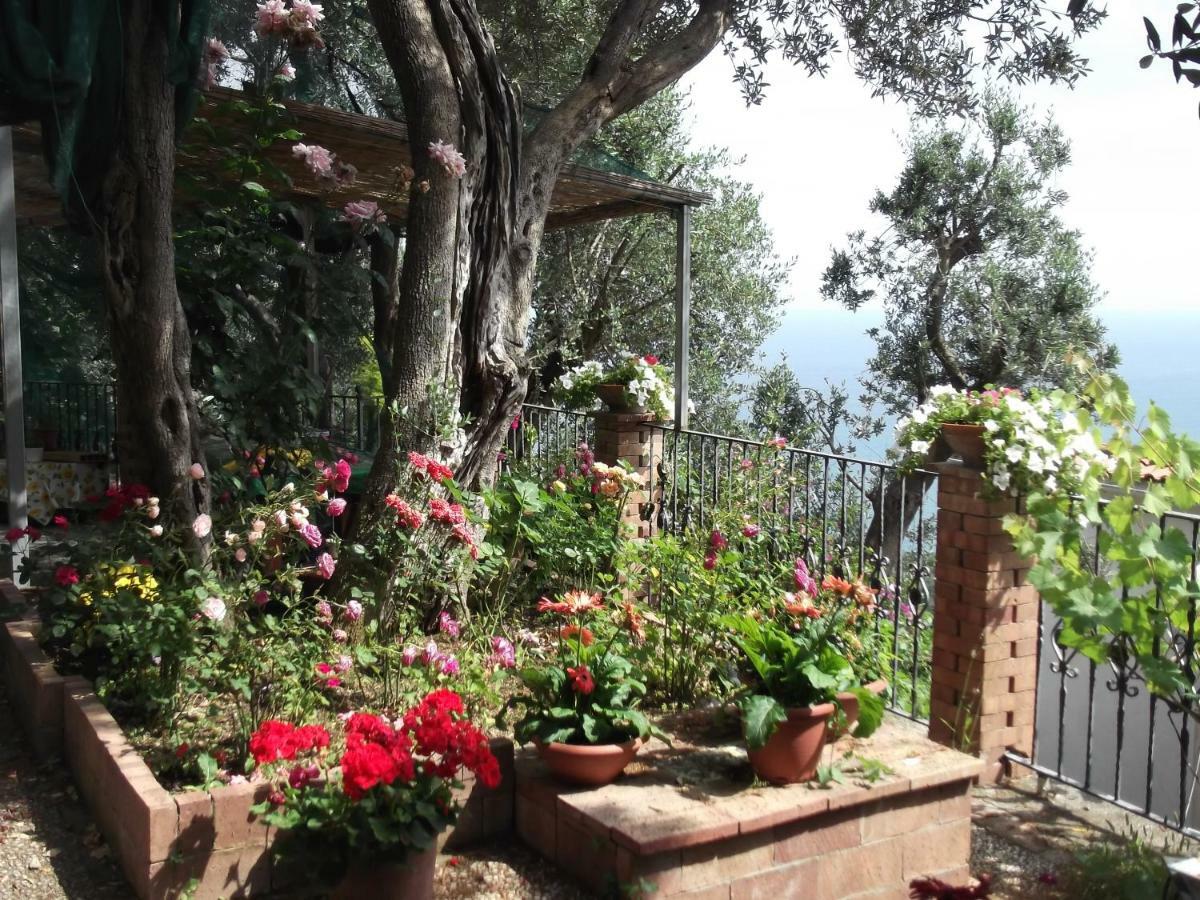 Le Mimose Villa Vietri Luaran gambar