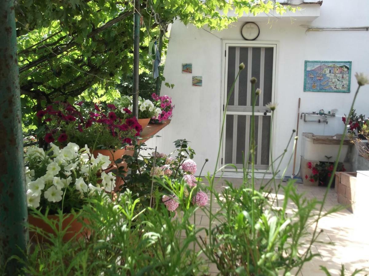 Le Mimose Villa Vietri Luaran gambar