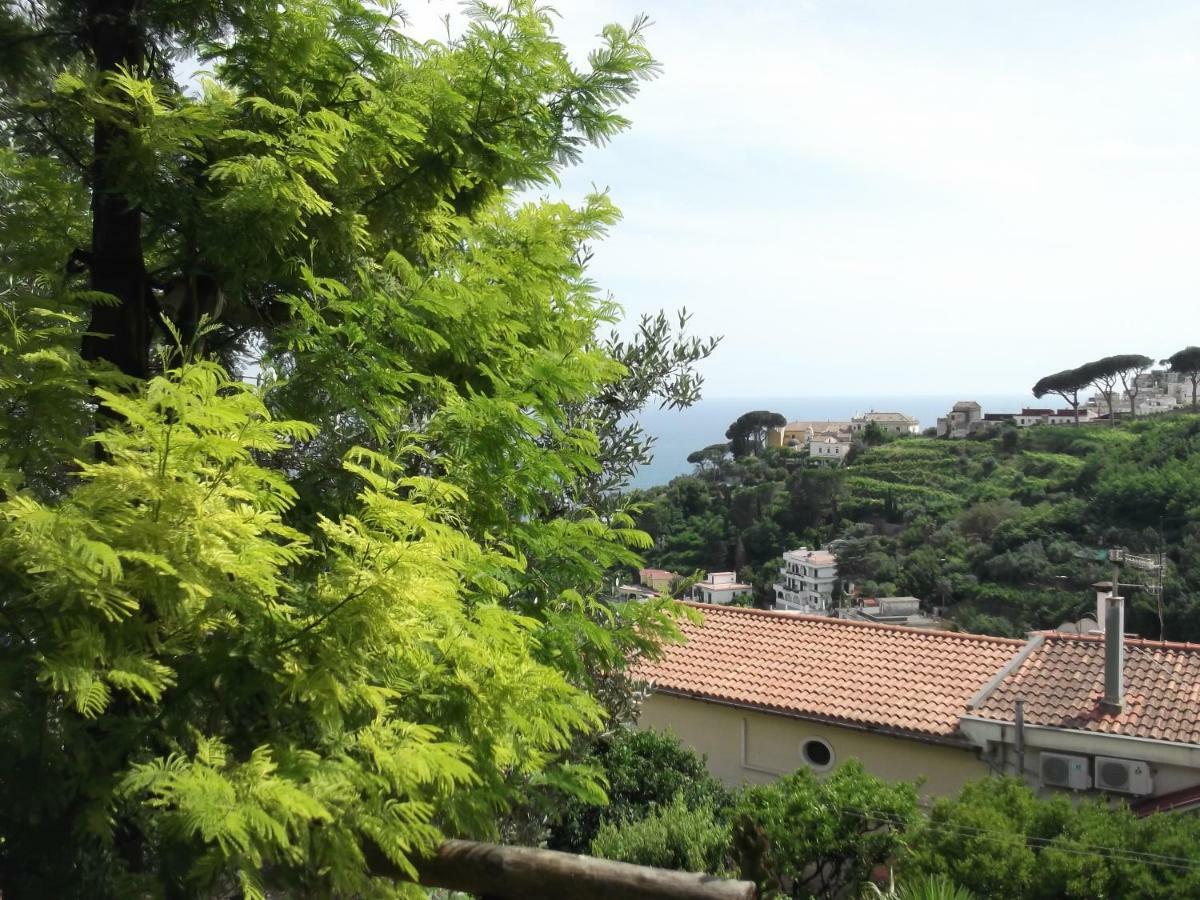 Le Mimose Villa Vietri Luaran gambar