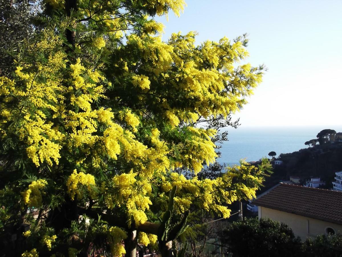 Le Mimose Villa Vietri Luaran gambar